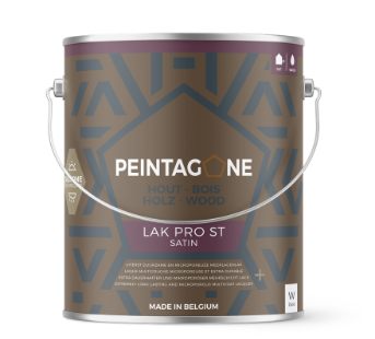 PEINTAGONE Lak Pro ST 2.5L Mix
