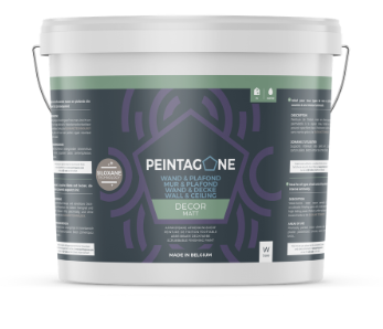 PEINTAGONE Decor Matt 15L Blanc