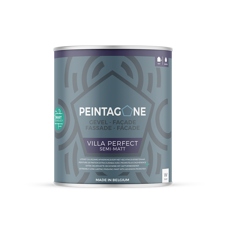 PEINTAGONE FACADE VILLA PERFECT 1L Blanc