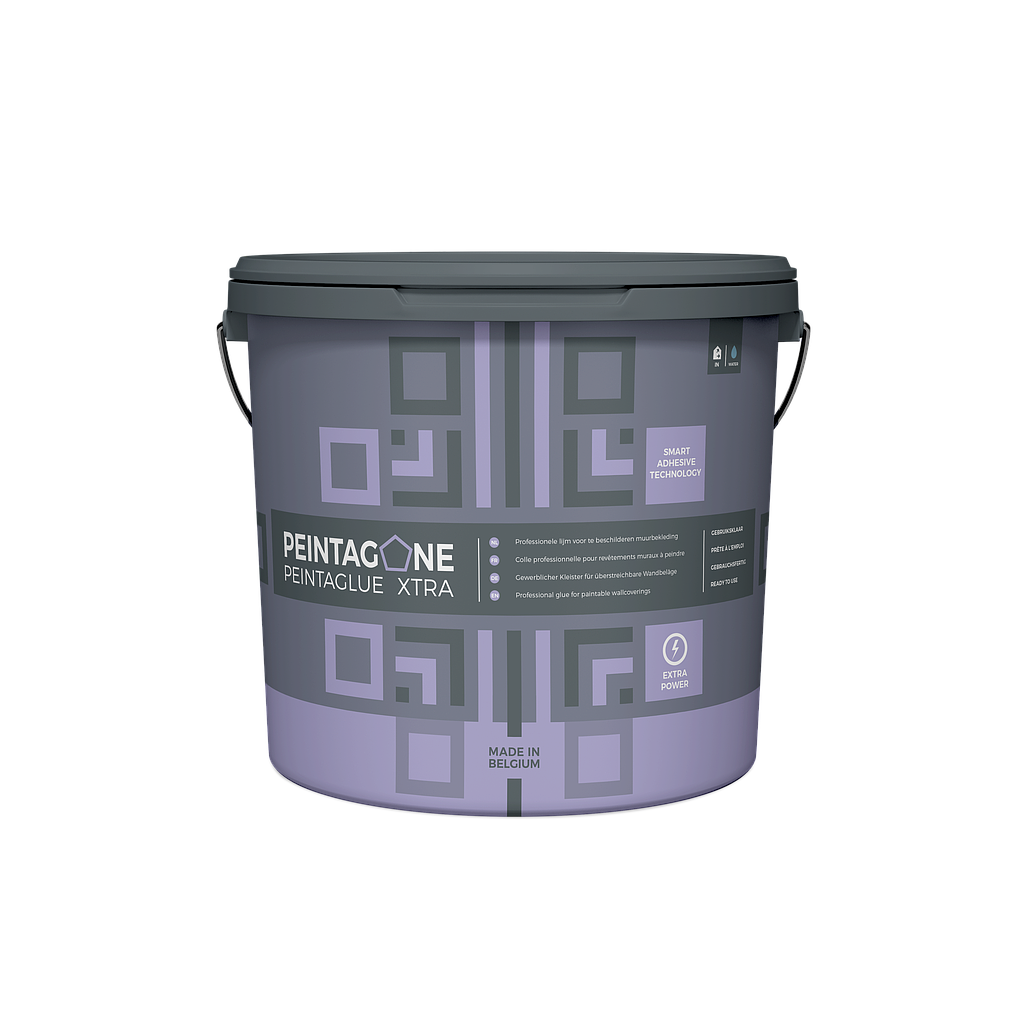 [PGXTRA10KG] Peintaglue Xtra 10KG