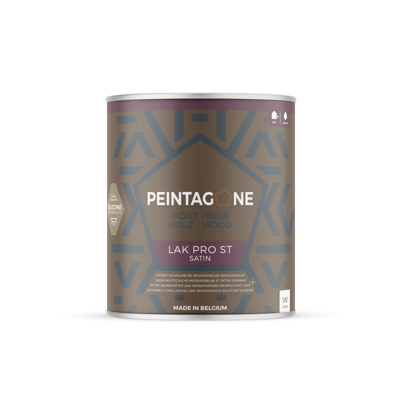 PEINTAGONE Lak Pro ST 1L Blanc