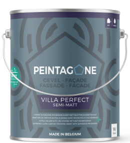 PEINTAGONE FACADE VILLA PERFECT 4L Blanc