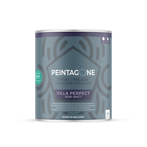 PEINTAGONE FACADE VILLA PERFECT 1L Blanc
